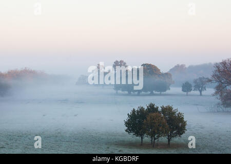 Windsor, Regno Unito. 6 nov, 2017. uk meteo. una vista verso il castello di Windsor in una nebbia e frosty mattina in Windsor Great Park. Credito: mark kerrison/alamy live news Foto Stock