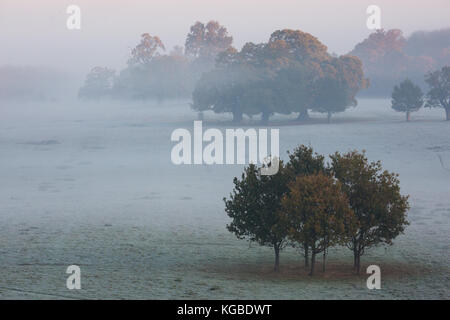 Windsor, Regno Unito. 6 nov, 2017. uk meteo. una vista verso il castello di Windsor in una nebbia e frosty mattina in Windsor Great Park. Credito: mark kerrison/alamy live news Foto Stock