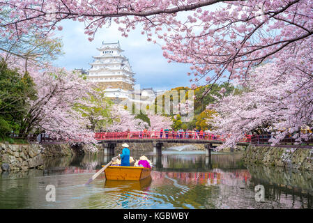 Il castello di Himeji con splendidi fiori di ciliegio in primavera Foto Stock