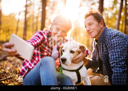 Coppia senior con il cane in una passeggiata in un bosco d'autunno. Foto Stock