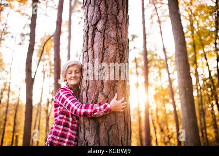 Senior donna su una passeggiata in un bosco d'autunno. Foto Stock