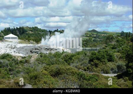 Parco Termale, a Rotorua, Nuova Zelanda Foto Stock