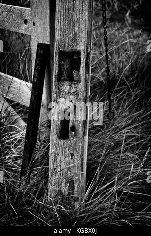 Marciume post di gate e il cancello di legno con nessuna recinzione allegata Foto Stock