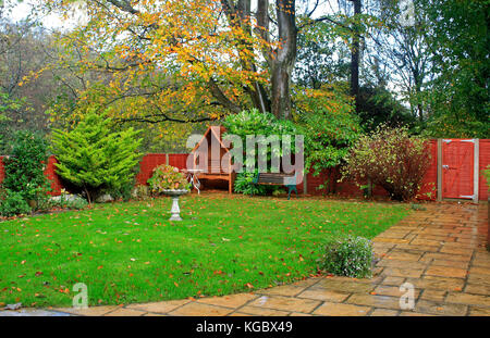 Colorato colorato autunno nel giardino del Galles Regno Unito Regno Unito Foto Stock