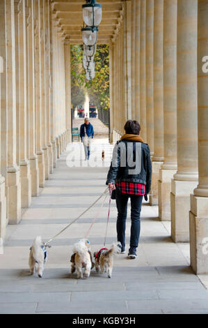 Parigi, Francia. Palais Royal. Donna che cammina tre cani di piccola taglia. Foto Stock