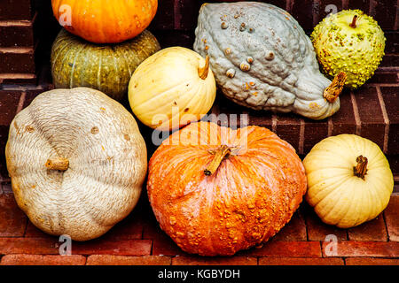 Un ringraziamento tradizionale display su una strada in Alexandria, Virginia. Foto Stock