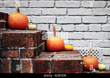 Un ringraziamento tradizionale display su una strada in Alexandria, Virginia. Foto Stock