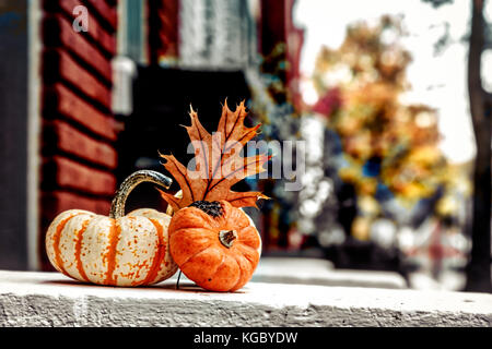 Un ringraziamento tradizionale display su una strada in Alexandria, Virginia. Foto Stock