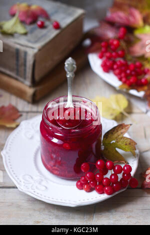 Bacche di colore rosso pallon di maggio con lo zucchero e il miele in un vasetto di vetro su uno sfondo con libri, bacche e foglie. Foto Stock