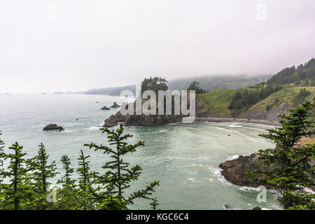 La costa vista dall arch rock area, Oregon Foto Stock