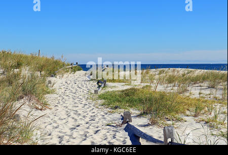 Un classico weathered staccionata in legno linee il percorso verso il mare e attraverso le numerose dune incontaminate di questa incontaminata jersey shore beach Foto Stock