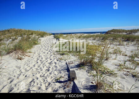 Un classico weathered staccionata in legno linee il percorso verso il mare e attraverso le numerose dune incontaminate di questa incontaminata jersey shore beach Foto Stock