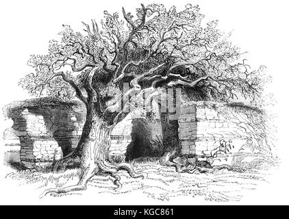 La parete nord del Silchester vicino a Basingstoke Hampshire la maggior parte notevole per la città romana di Calleva Atrebatum, un'età del ferro insediamento prima occupata dai Romani in circa AD 45. Esso ospita quello che è considerato il meglio conservato muro romano in Gran Bretagna. Foto Stock