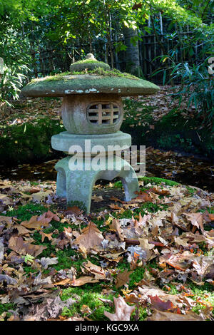 Di pietra tradizionale lanterna giapponese in autunno in giardino con caduta di foglie di quercia Foto Stock