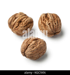 Fresco umido prelevato noci su sfondo bianco Foto Stock