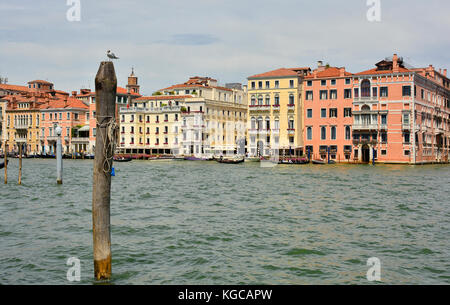 Edifici storici sul canal Grande a Venezia Foto Stock