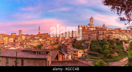 Duomo di Siena al meraviglioso tramonto, Toscana, Italia Foto Stock