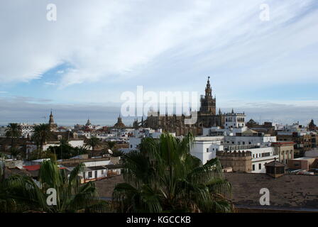 Vista della cattedrale di Siviglia e la città dalla cima della Torre del Oro, Siviglia, Spagna Foto Stock