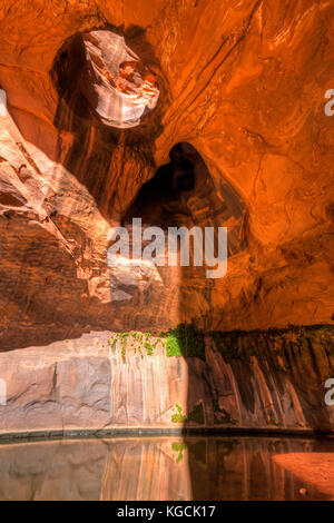 Riflette la luce del sole e di ondulazioni fuori le pareti del golden cattedrale grotta in neon canyon, scalone escalante National Monument, Utah. Foto Stock