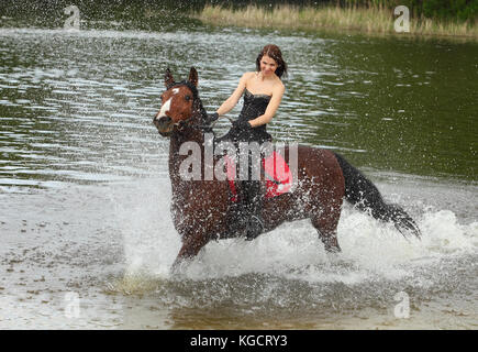 Signora giovane andare a cavallo nel fiume Foto Stock