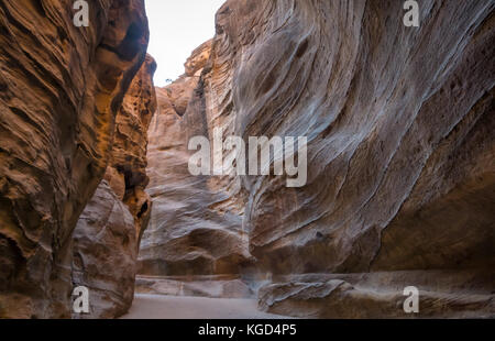 Colorate pareti di pietra arenaria di vuoto Siq gorge, in mattina presto, Petra, Giordania, Medio Oriente Foto Stock