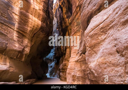 Colorate pareti di pietra arenaria del passaggio stretto di gola di Siq, Petra, Giordania, Medio Oriente in mattina presto, Petra, Giordania, Medio Oriente Foto Stock