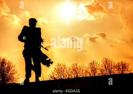 Post apoc bestia superstite Foto Stock