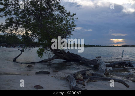 Guardalavaca si trova sulla costa nord di Cuba. Spiagge di Guardalavaca includono spiaggia Guardalavaca, Playa Esmeralda, don lino e Bahia de nara Foto Stock