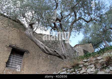 Italiano antico agriturismo campania Foto Stock