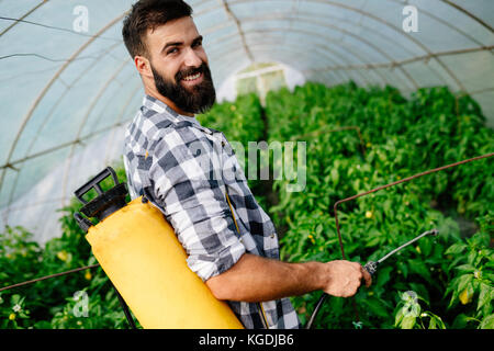 Giovane lavoratore la spruzzatura di pesticidi sulla piantagione di frutta Foto Stock