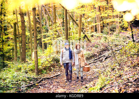 Coppia senior in una passeggiata nella foresta di autunno. Foto Stock