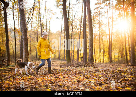 Donna senior con il cane in una passeggiata in un bosco d'autunno. Foto Stock