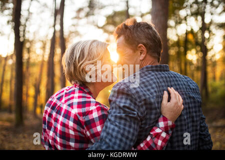 Coppia senior in una passeggiata in un bosco d'autunno. Foto Stock