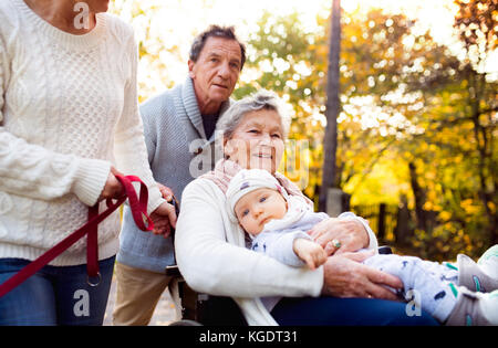 Famiglia estesa con il cane in una passeggiata nella natura d'autunno. Foto Stock