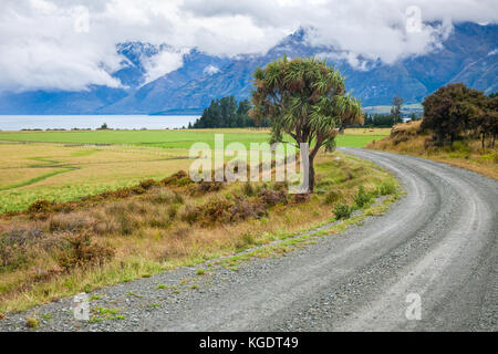 Avvolgimento su strada di ghiaia attraverso il pascolo in Nuova Zelanda con Cabbage Tree e nuvoloso montagne sullo sfondo Foto Stock