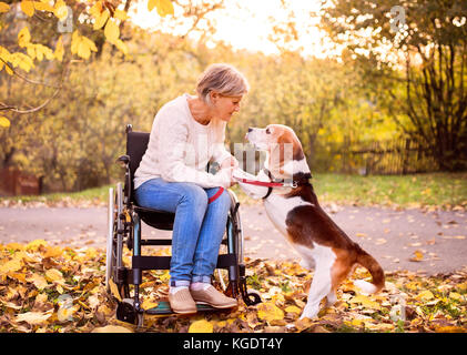 Un senior donna in sedia a rotelle con il cane in autunno la natura. Foto Stock