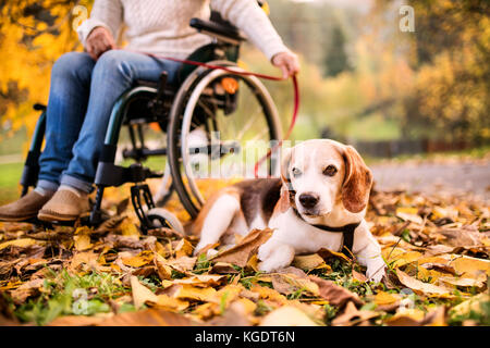 Un senior donna in sedia a rotelle con il cane in autunno la natura. Foto Stock