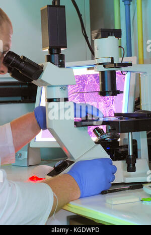 Tecnico utilizzando una biologia molecolare di microscopio in un laboratorio Foto Stock