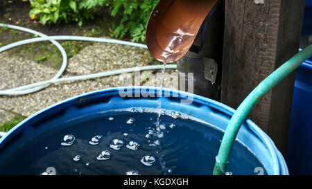 Un barile di pioggia in giardino. L'acqua piovana da una canna di acqua  Foto stock - Alamy