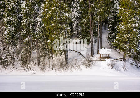 Alcova in abete innevato foresta. incantevole paesaggio invernale Foto Stock