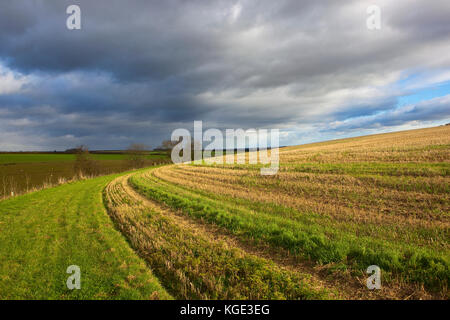 Una curvatura traccia erbosa attorno ad un grano campo di stoppie sul pendio di una collina sotto un cielo tempestoso nel yorkshire wolds Foto Stock