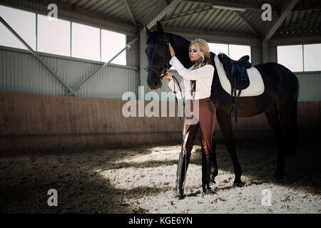 Bellissima ed elegante ragazza bionda sta in piedi vicino al suo cavallo nero medicazione di concorrenza uniforme camicetta bianca maglietta e pantaloni marrone. interna portraite in Foto Stock