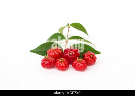 Il brasiliano cherry: pitanga (eugenia uniflora). sfondo bianco. Foto Stock