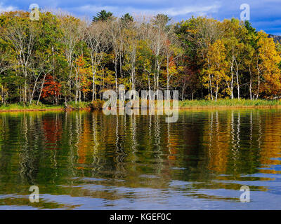 Giapponese fogliame di autunno in akan, Hokkaido, Giappone Foto Stock