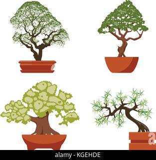 Set di vettore di coloratissimi alberi di bonsai in vasi, isolati su sfondo bianco cinese arte bonsai simboli, design piatto Illustrazione Vettoriale