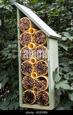 Bee House a Madison Square Park, New York, Stati Uniti Foto Stock