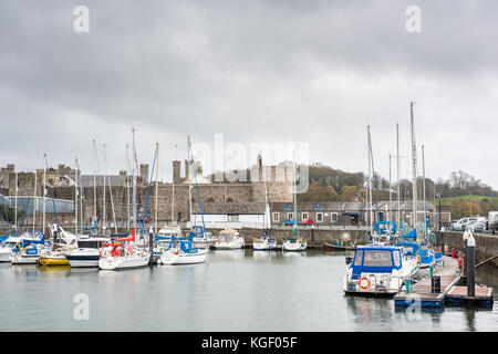 A motore di lusso e le barche a vela ormeggiata per l'inverno nel porto Marina di doc fictoria (victoria dock) a Caernarfon, Wales, Regno Unito. Foto Stock