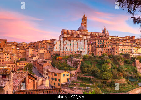 Duomo di Siena al meraviglioso tramonto, Toscana, Italia Foto Stock