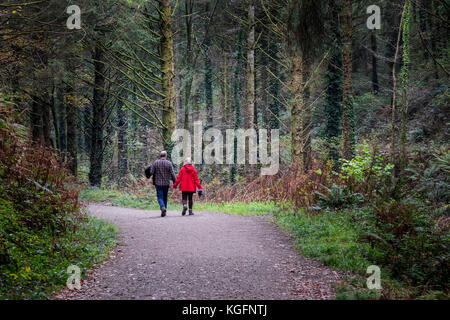 Un paio di escursionisti che camminano lungo un percorso che attraversa Cardinham Woods a Bodmin Cornovaglia. Foto Stock