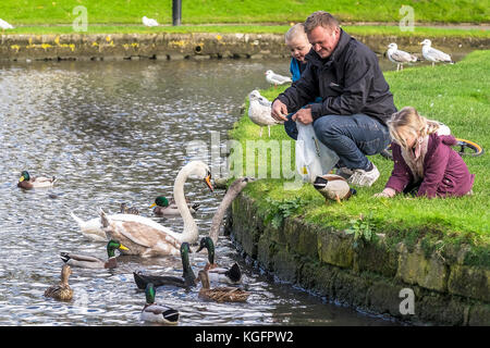 Un padre per adulti e bambini famiglia persone alimentando i cigni anatre sulle sponde di un lago. Foto Stock